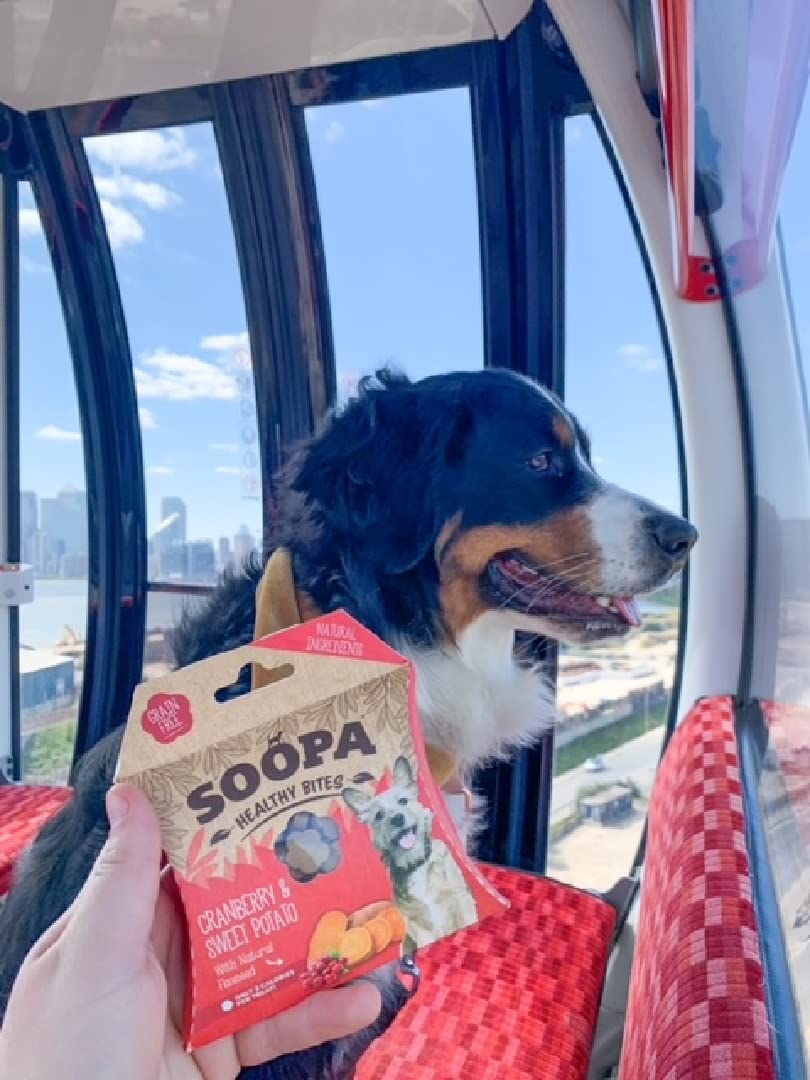 Soopa Strawberry Dog-Quiri Healthy Bites, Dog Training Treats, 50 g, 1-Pack