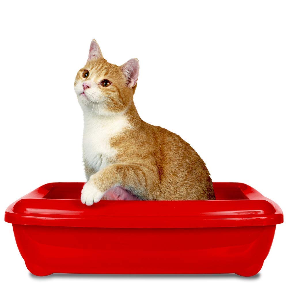 Simple Solution Cat Litter Freshener with Enzymatic Cleaning Granules 600g