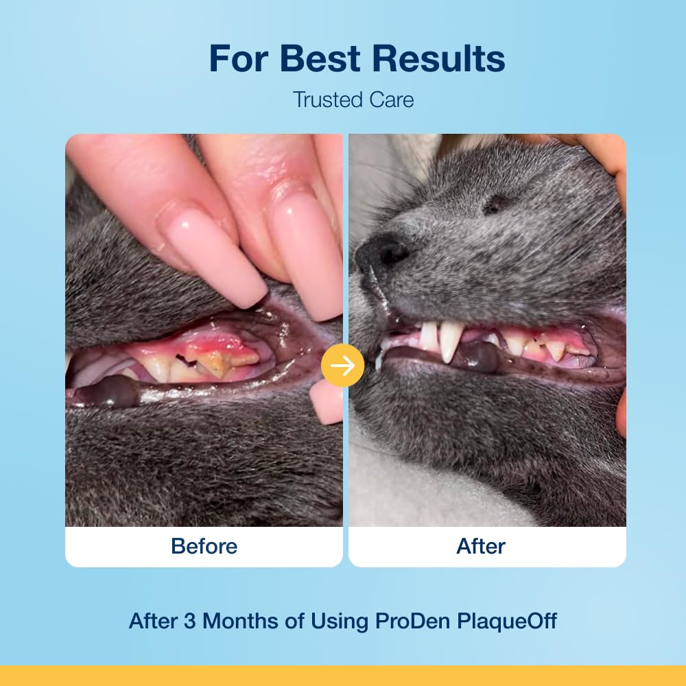 ProDen PlaqueOff 40g Powder for Cats, 100% Natural Tooth Care Powder, Protects Against Bad Breath, Helps with Tartar and Plaque
