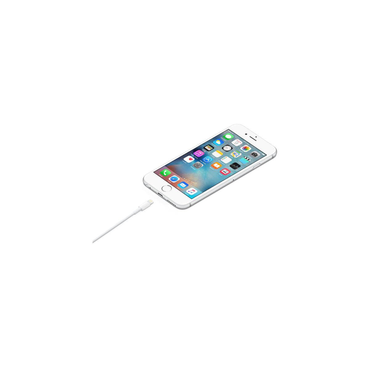 Apple USB-C to Lightning Cable