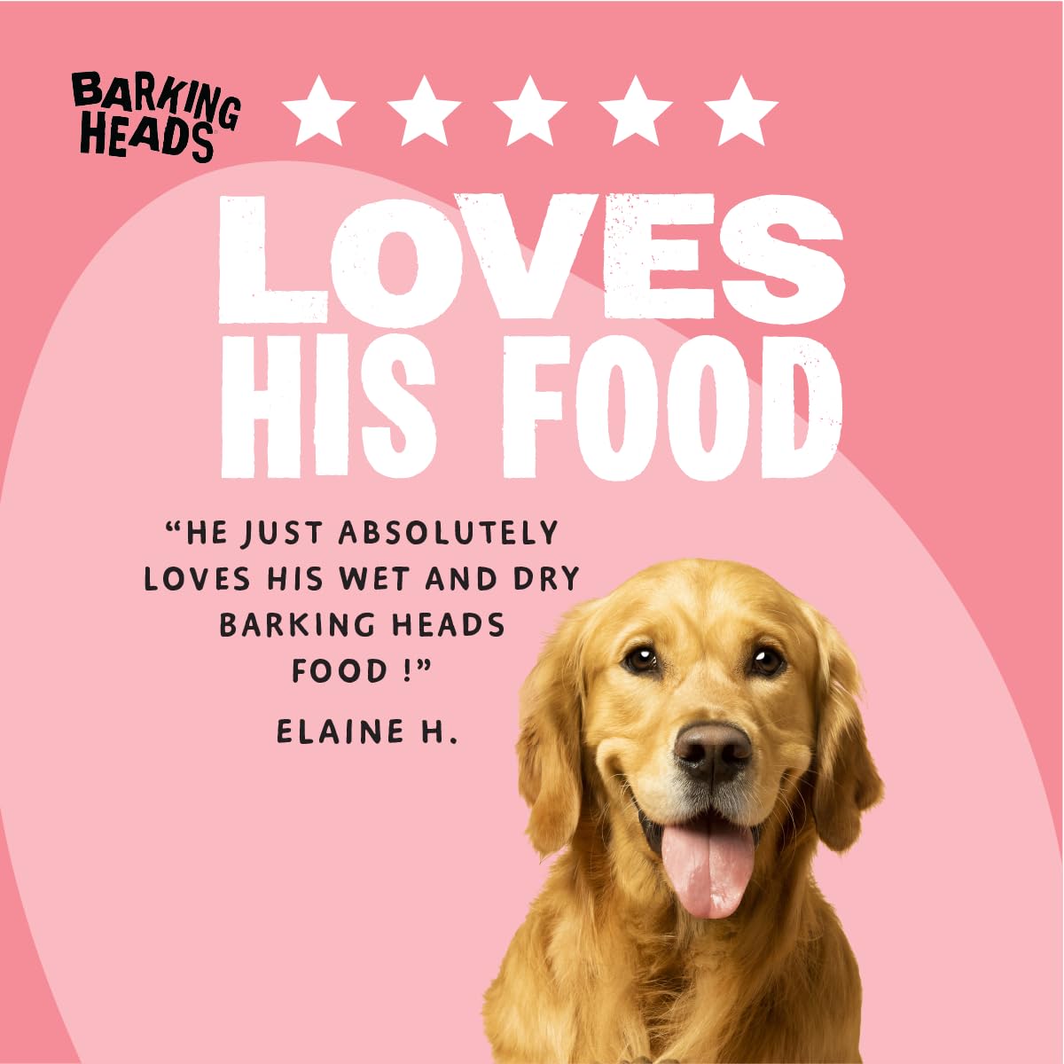 Barking Heads Adult Dog Food Wet Pouches Variety Pack Natural & Grain-Free with No Artificial Flavours Plus Added Vitamins & Minerals 6 x 300g