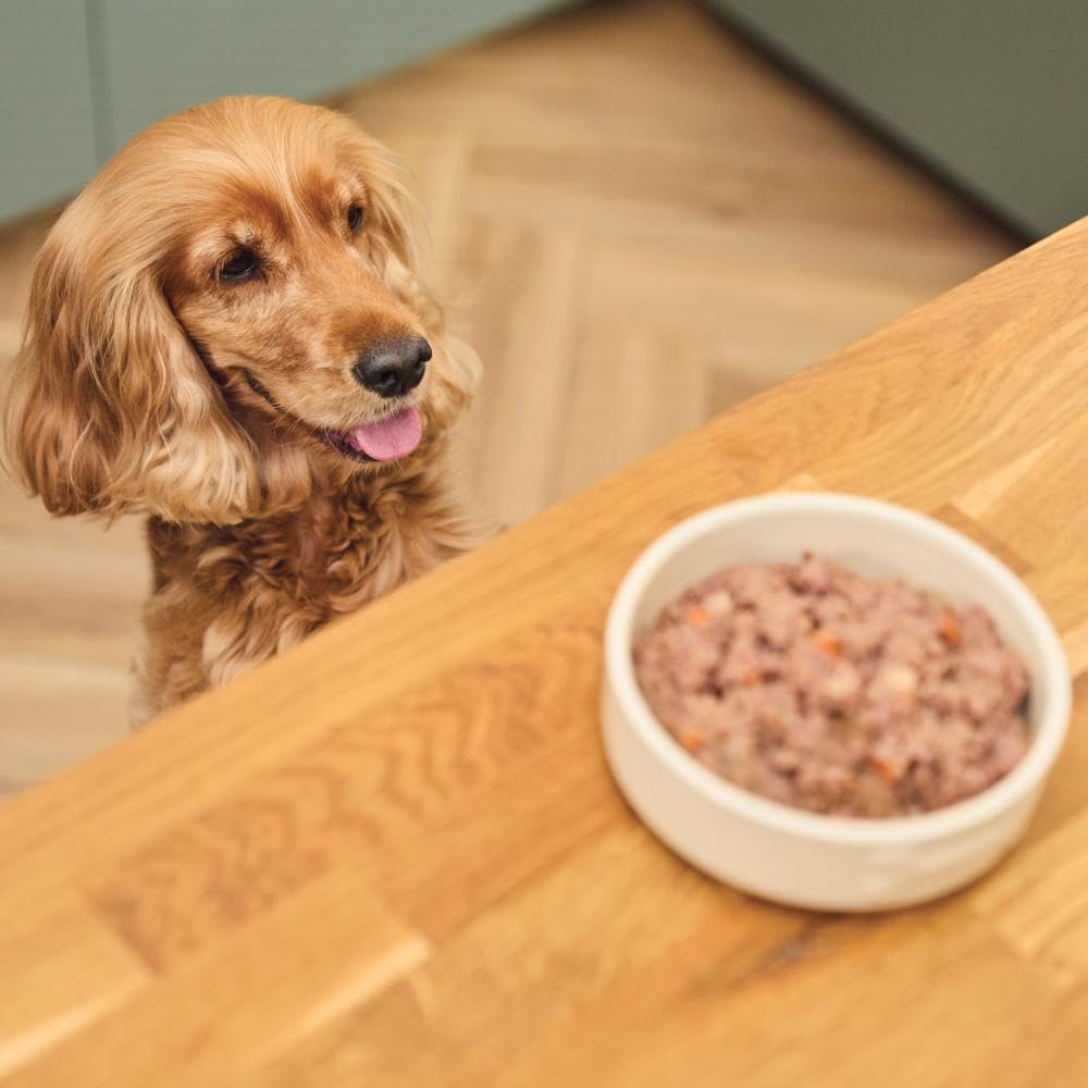 Lily's Kitchen Cottage Pie - Complete Adult Dog Wet Food (6 x 400g)