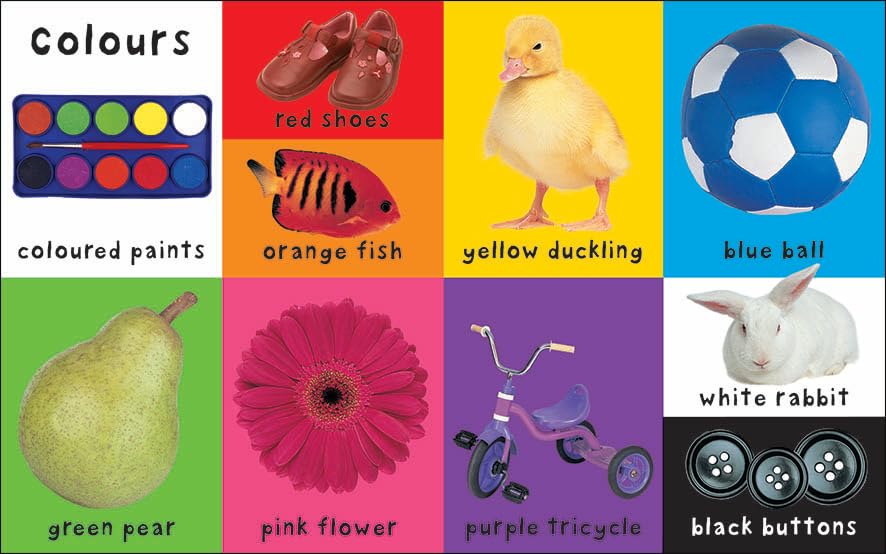 First 100 Words: A first words book for babies and toddlers (First 100 Soft To Touch)