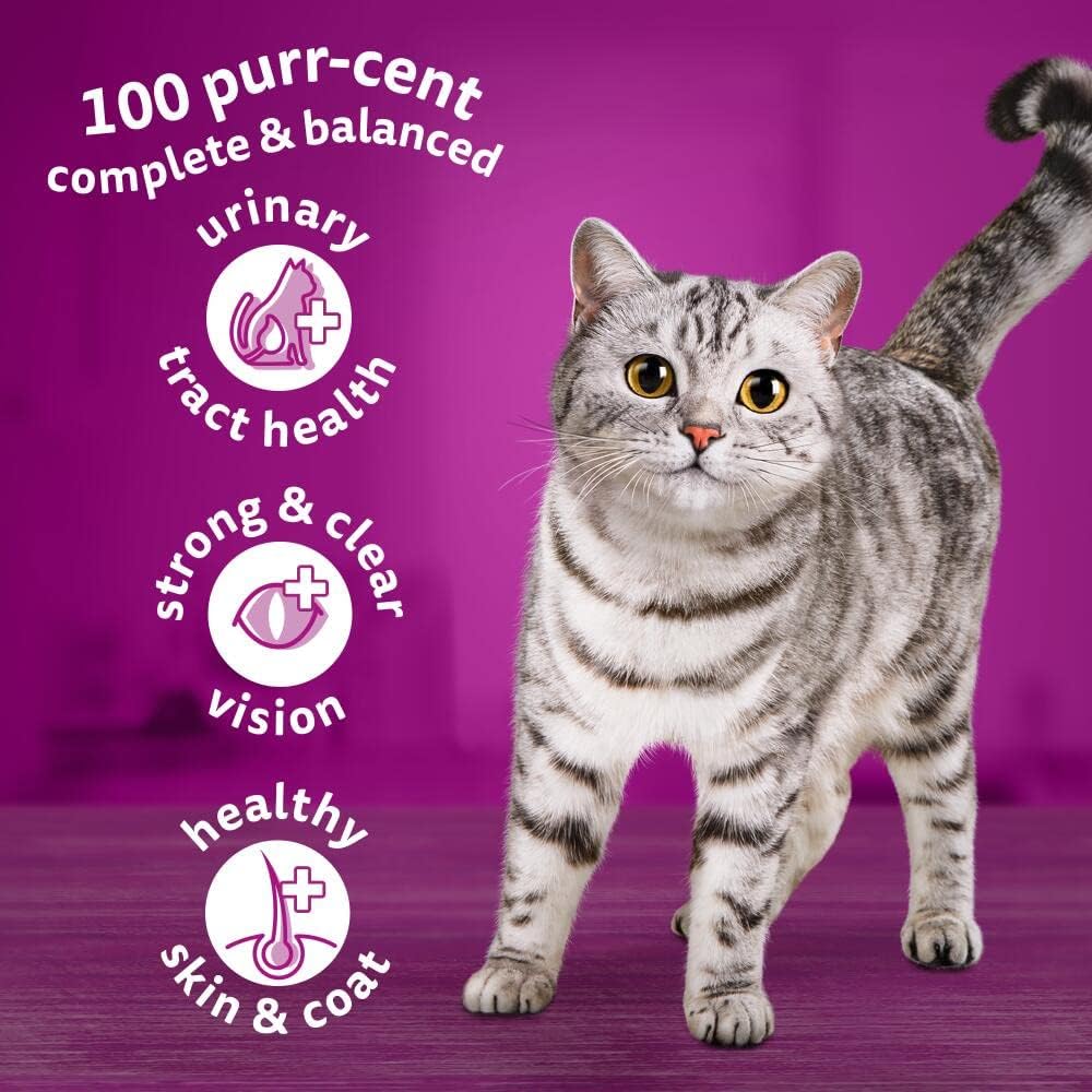 WHISKAS Adult Dry Cat Food 7kg with Chicken