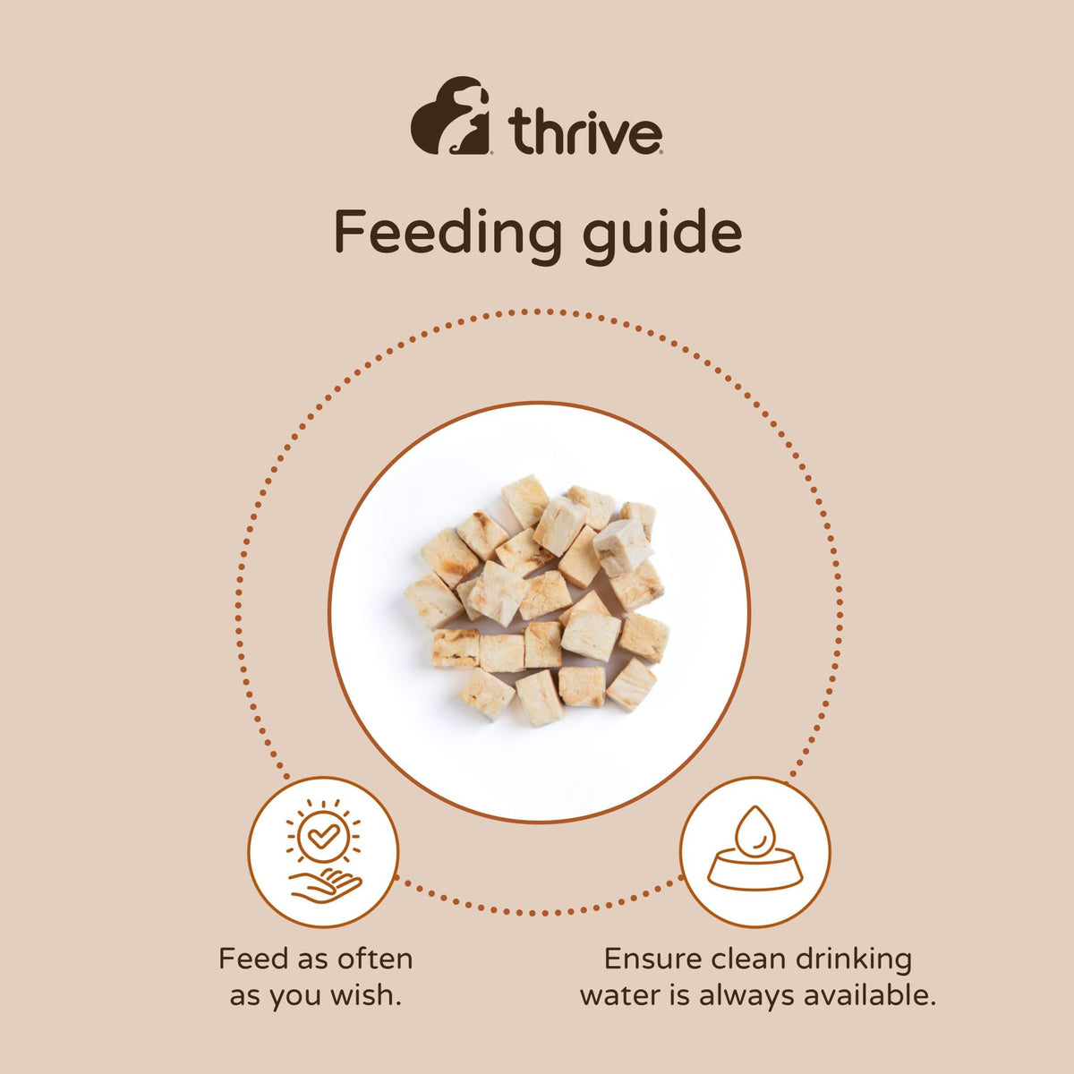 Thrive 100% Chicken Breast Freeze-Dried Cat Treats – Single Ingredient, High Protein – Grain Free – 170g MaxiTube