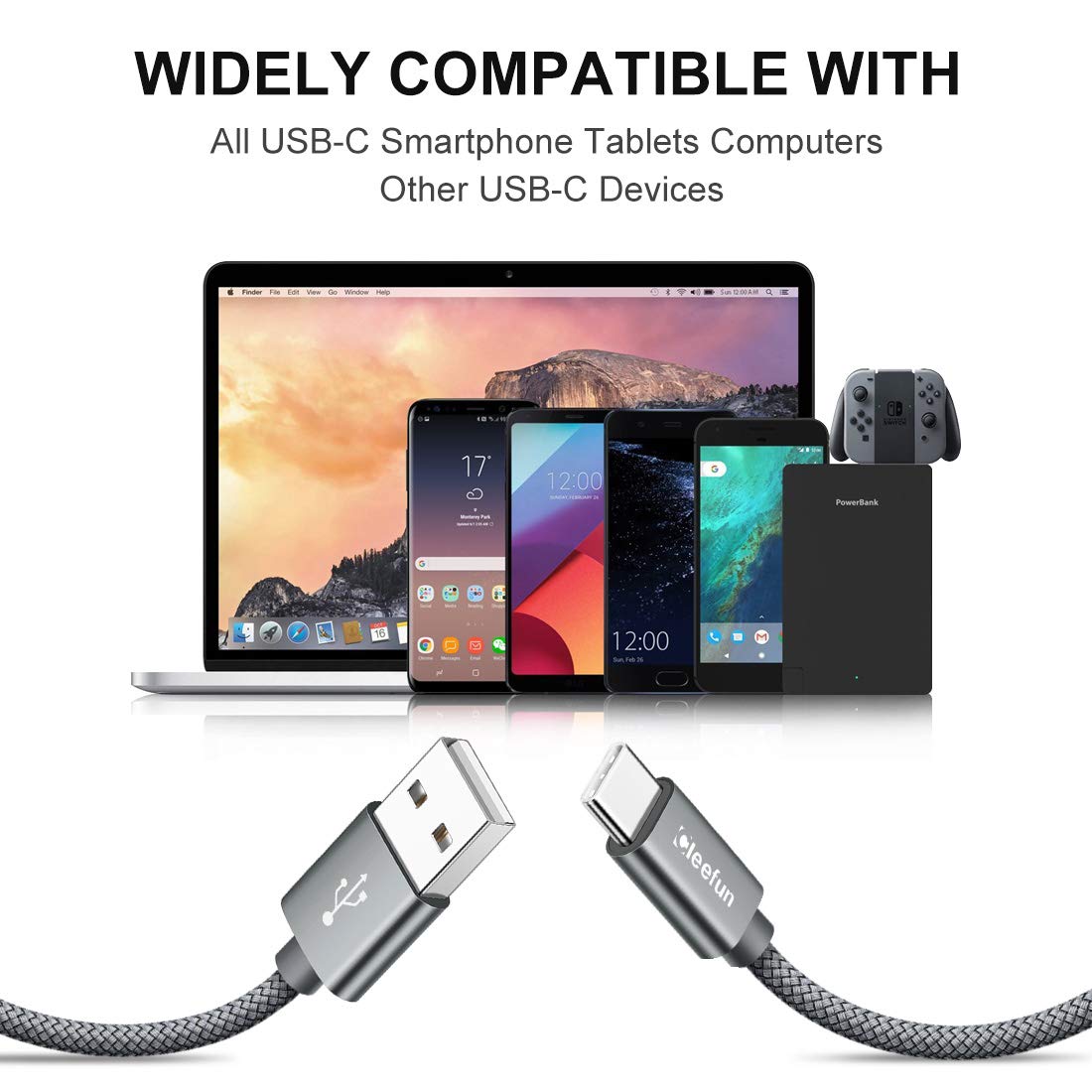 CLEEFUN 3M USB C Cable (2-Pack), Long PS5 Controller Charger Fast Charging