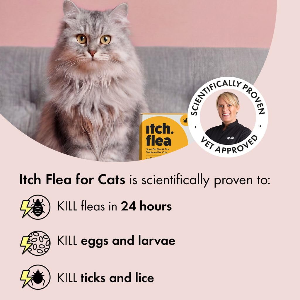 Itch - Flea & Tick Treatment for Cats & Household Flea Spray - Kills Fleas, Lice, Ticks, Eggs and Larvae - With Fipronil and S-Methoprene - Odourless 500ml Spray & Pack of 3 Pipettes