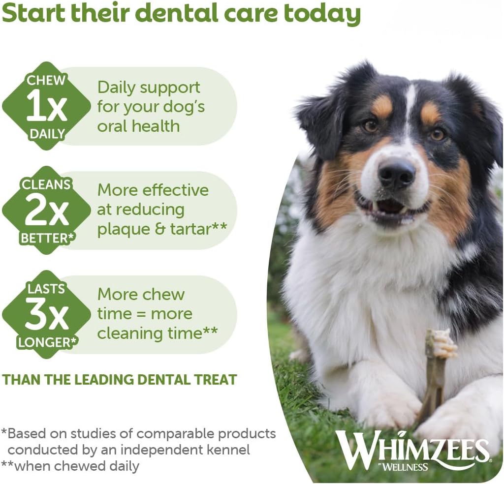 WHIMZEES Toothbrush S, Month Box, 30 Pieces – Size S