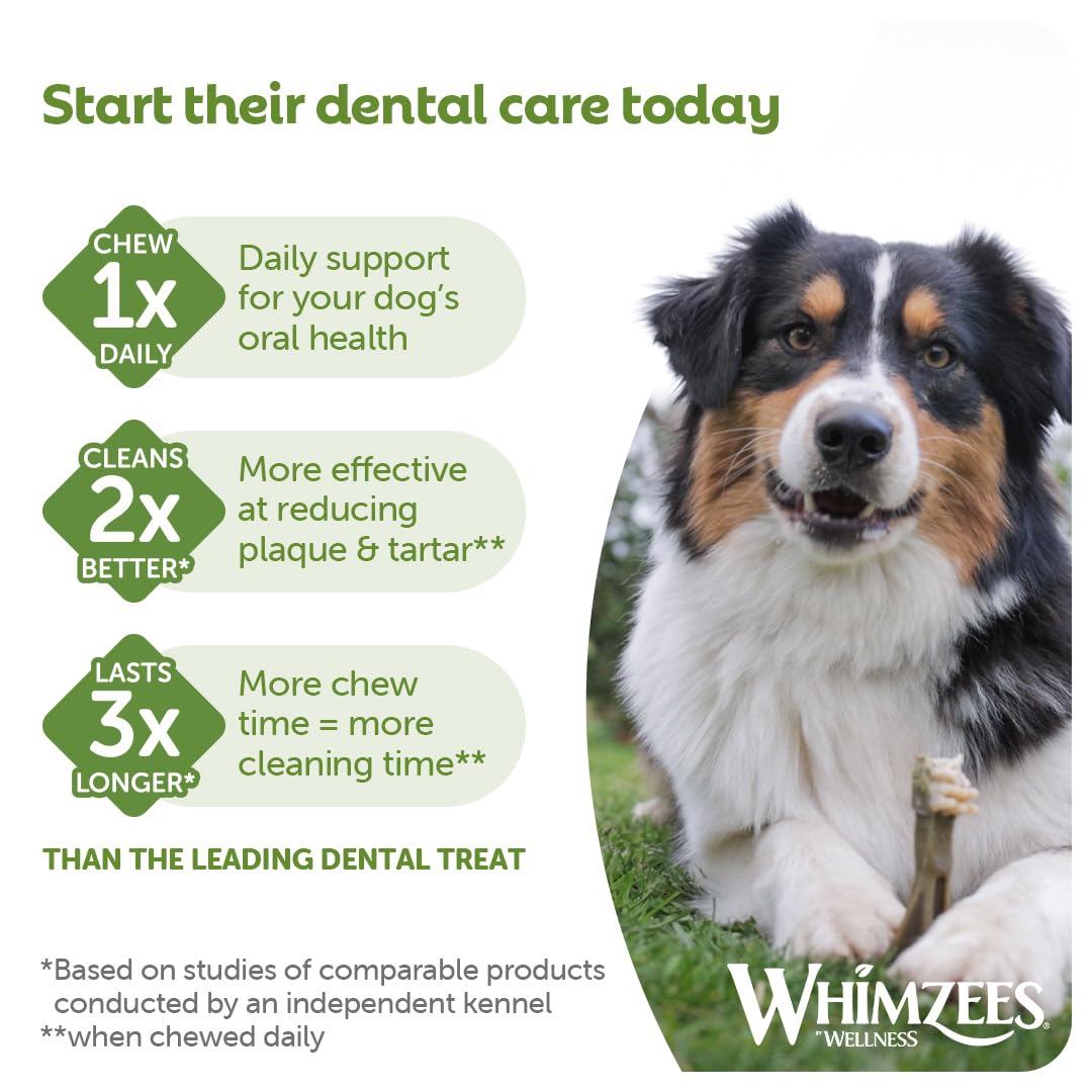 WHIMZEES Toothbrush S, Month Box, 30 Pieces – Size S