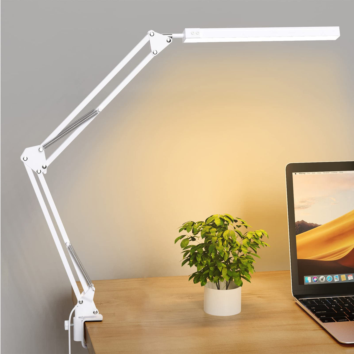 SKYLEO LED Desk Lamp with Clip and Base - Eye Protection Desk Lamps Black