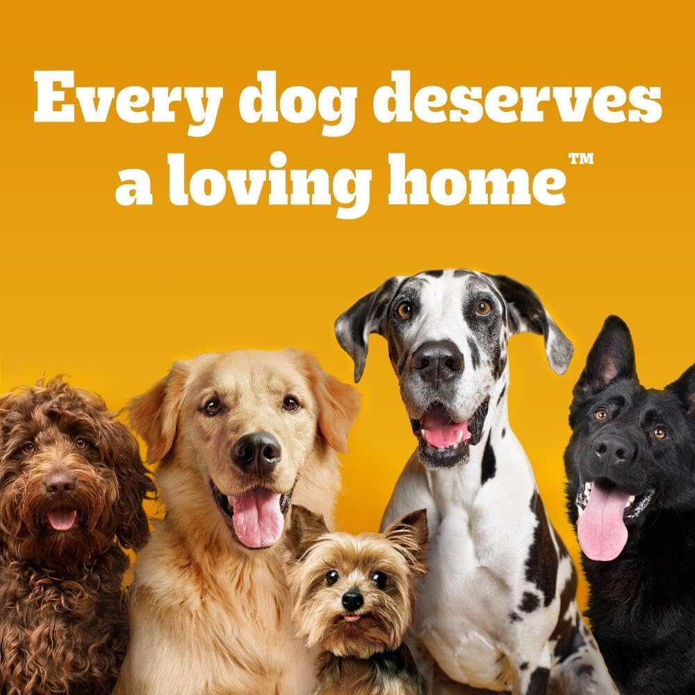 PEDIGREE TASTY MINIS Adult Dog Treats Cheese & Beef Nibbles 140g - Pack of 8, Packaging May Vary