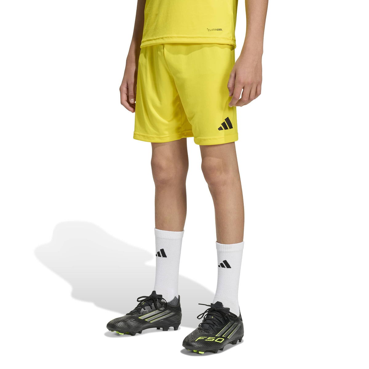 adidas Entrada26 Shorts Kids