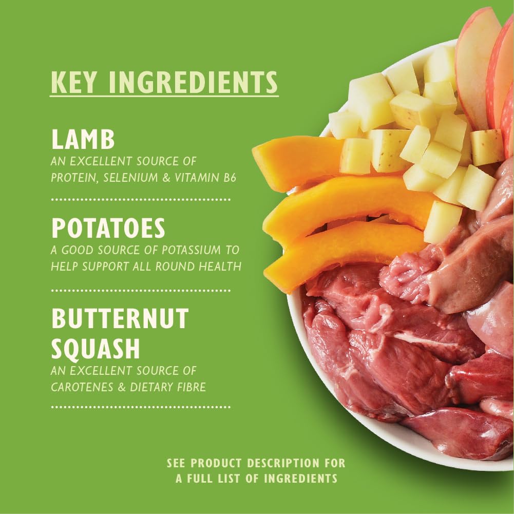 Lily's Kitchen Natural Adult Dog Food Wet Trays - Classic Dinners Multipack - Chicken, Lamb & Beef - Complete Meal Recipes (6 Trays x 150g)