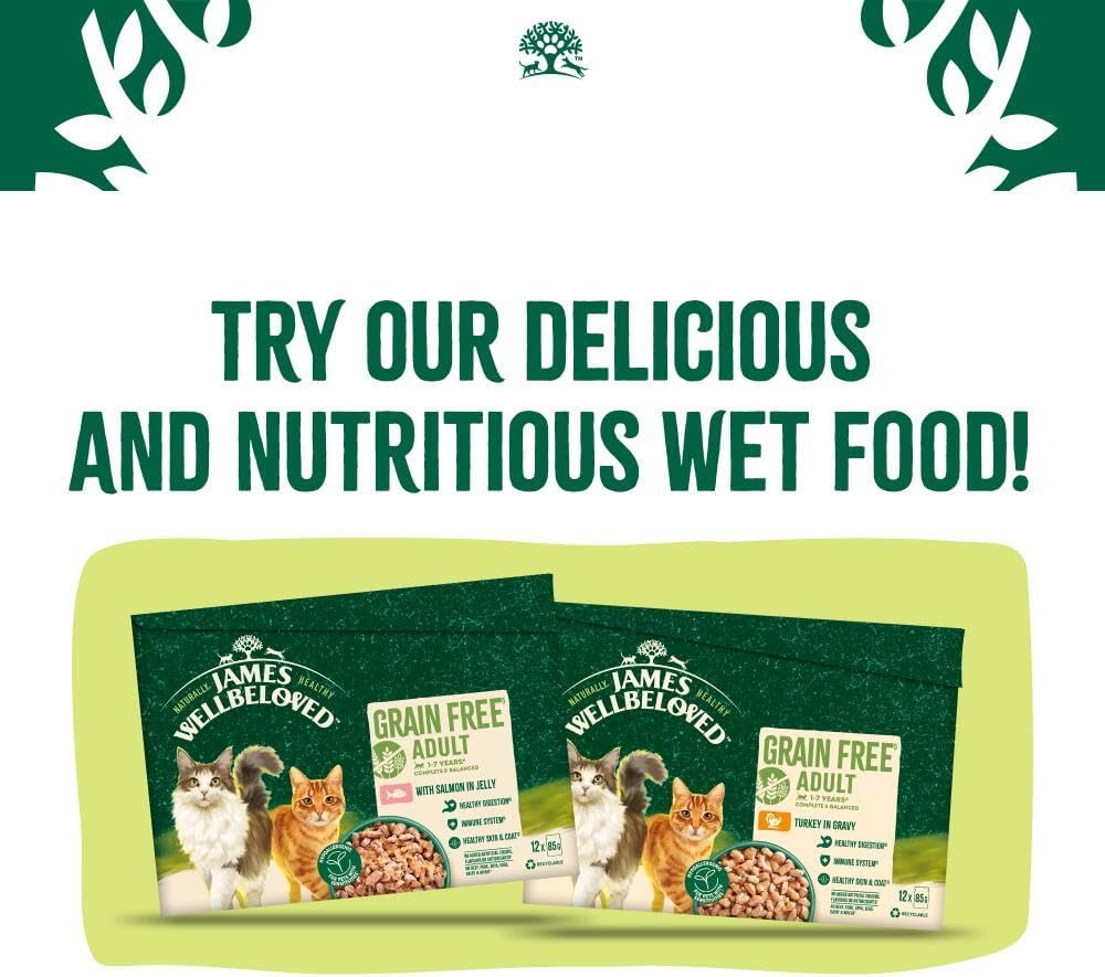 James Wellbeloved Hypoallergenic Dry Cat Food for Adult Cats Turkey 4 kg
