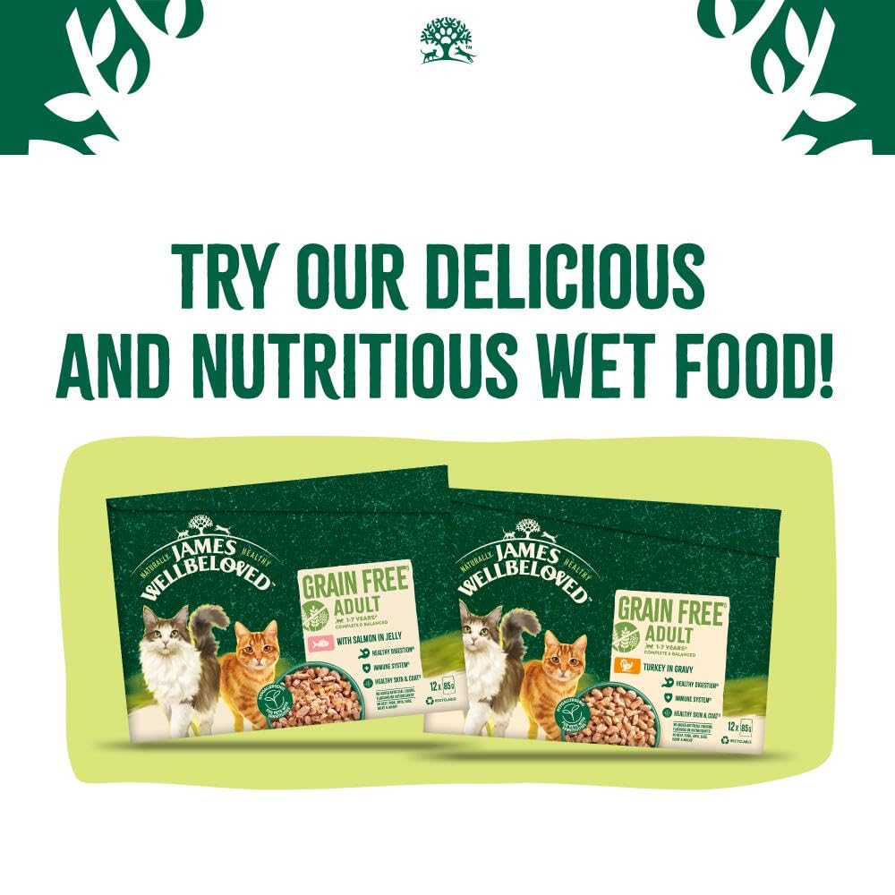 James Wellbeloved Hypoallergenic Dry Cat Food for Adult Cats Turkey 4 kg