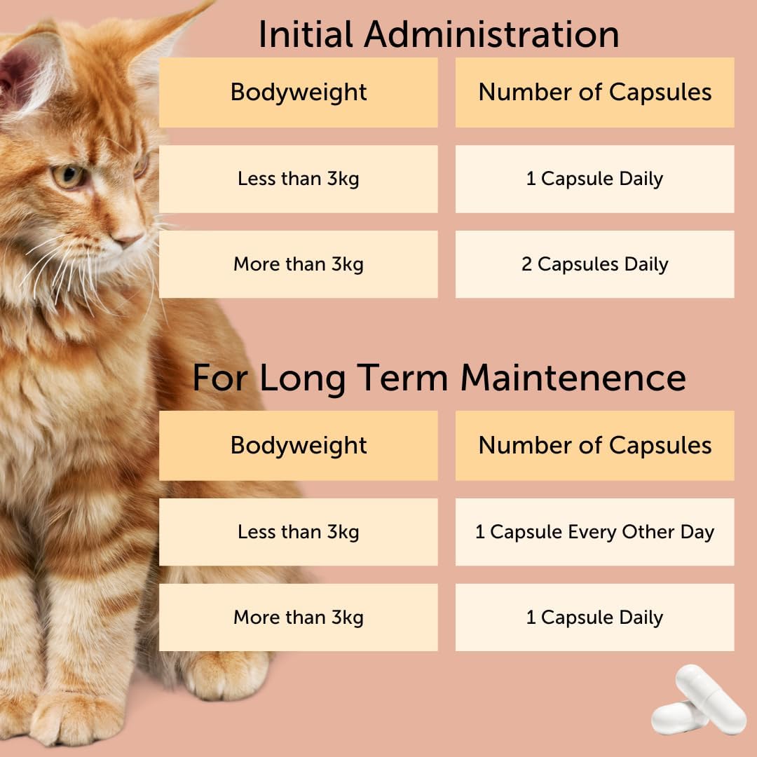 FELIWAY Cystease 30 Capsule Pack, Cats Urinary Tract Infection Treatment