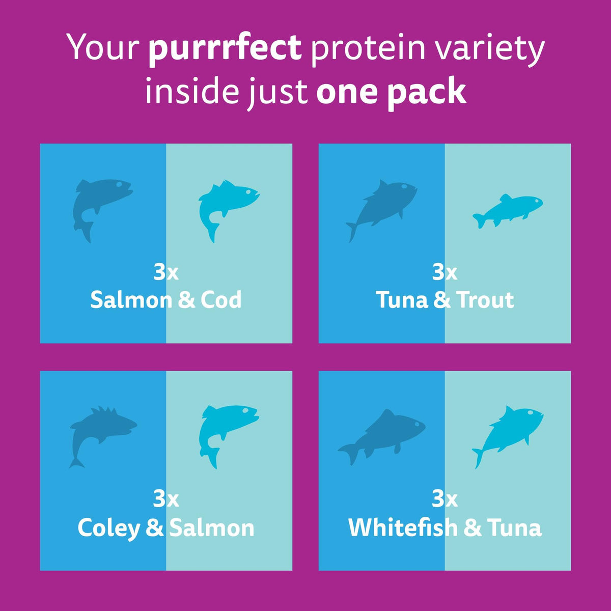 WHISKAS DUO Adult Wet Cat Food in Jelly 12x85g Surf & Turf (Pack of 4)