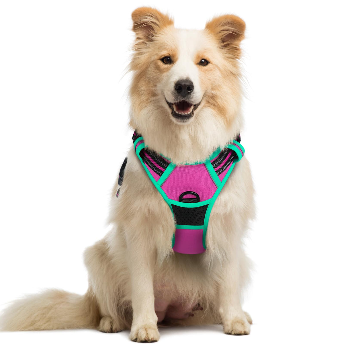 rabbitgoo Dog Harness Large Dog, No Pull Vest with Front Clip & Handle