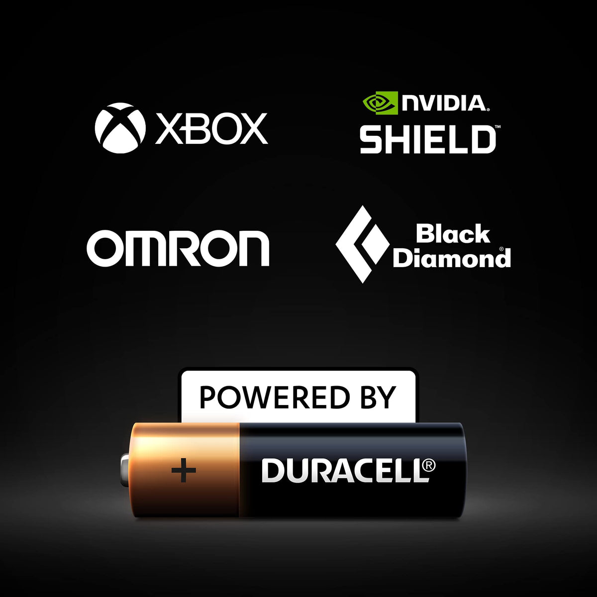 DURACELL 2025 Lithium Coin Batteries (2 Pack) 3V, CR2025