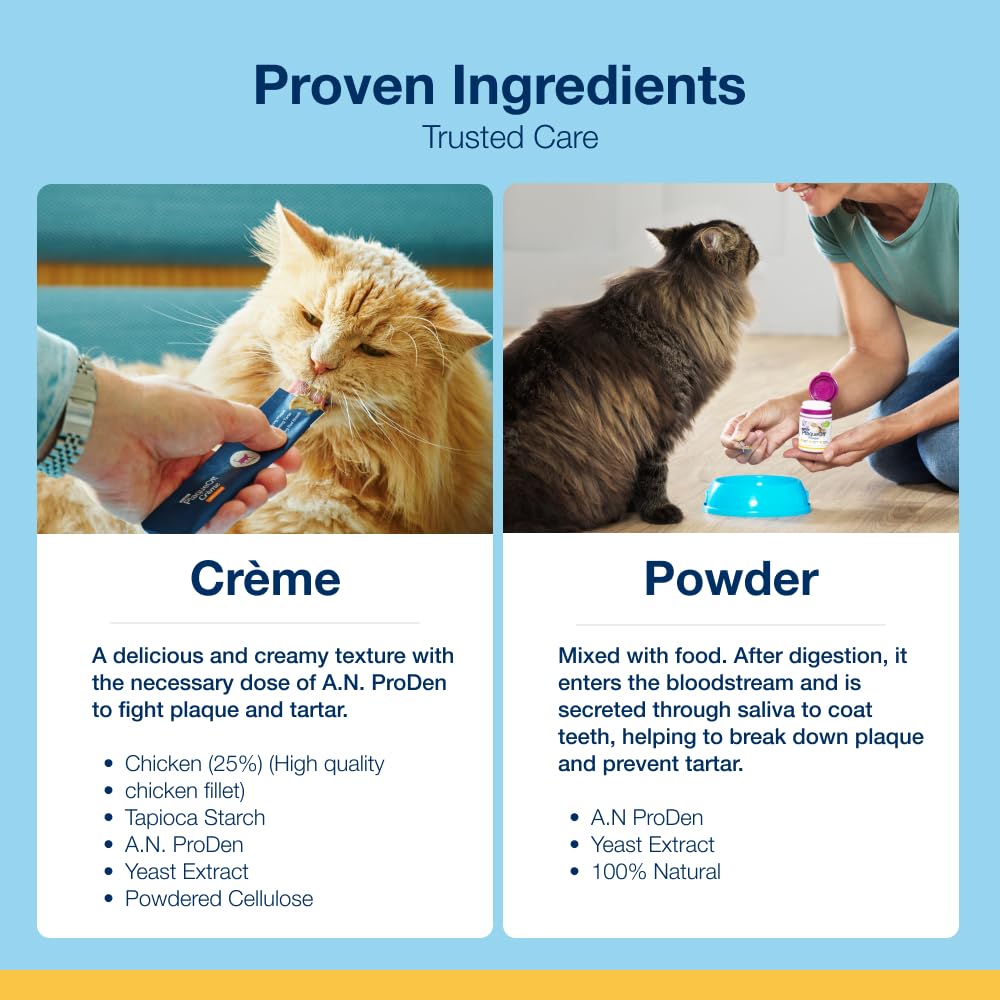ProDen PlaqueOff 40g Dental Powder for Cats - 100% Natural, 4-Month Supply