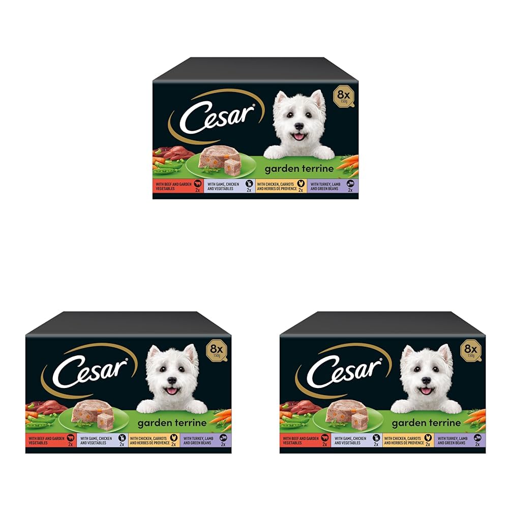 CESAR Pouch Selection in Jelly, Fresh Adult Wet Dog Food Pouches in Delicious Jelly with Succulent Meats and Vegetables, 48 x 100 g