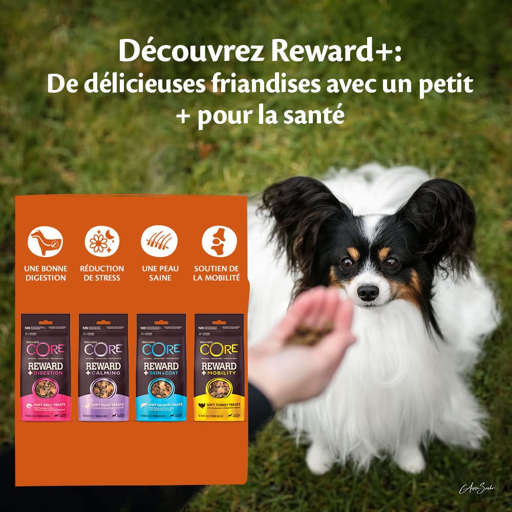 Wellness CORE Reward+ Mobility 170g, Turkey – Soft Dog Treats