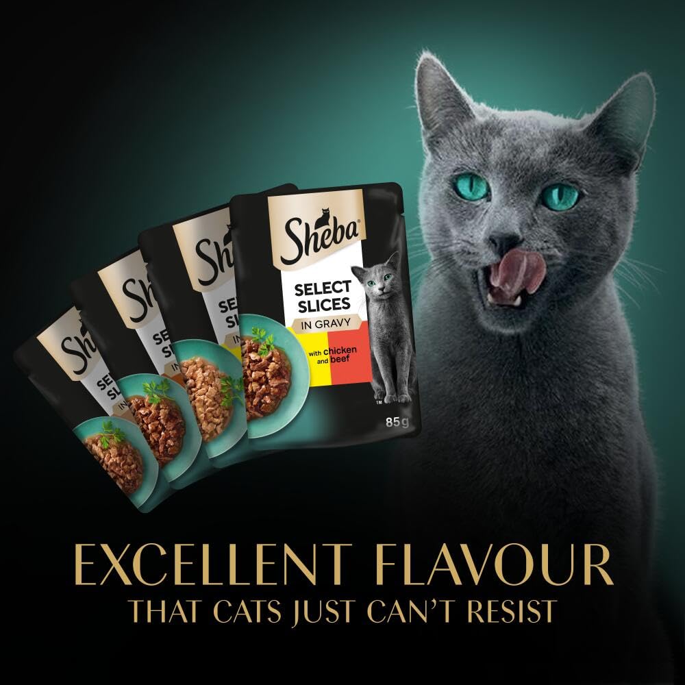 Sheba Select Slices in Gravy – Fish Collection – Wet cat food pouches for adult cats – 12 x 85g pack