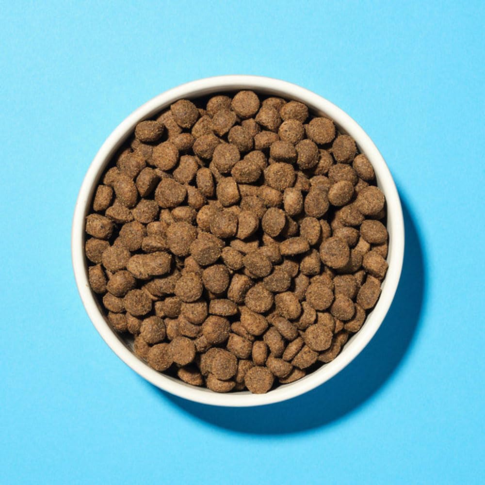 Pooch & Mutt - Health & Digestion Dry Dog Food, Salmon & Sweet Potato, 2kg