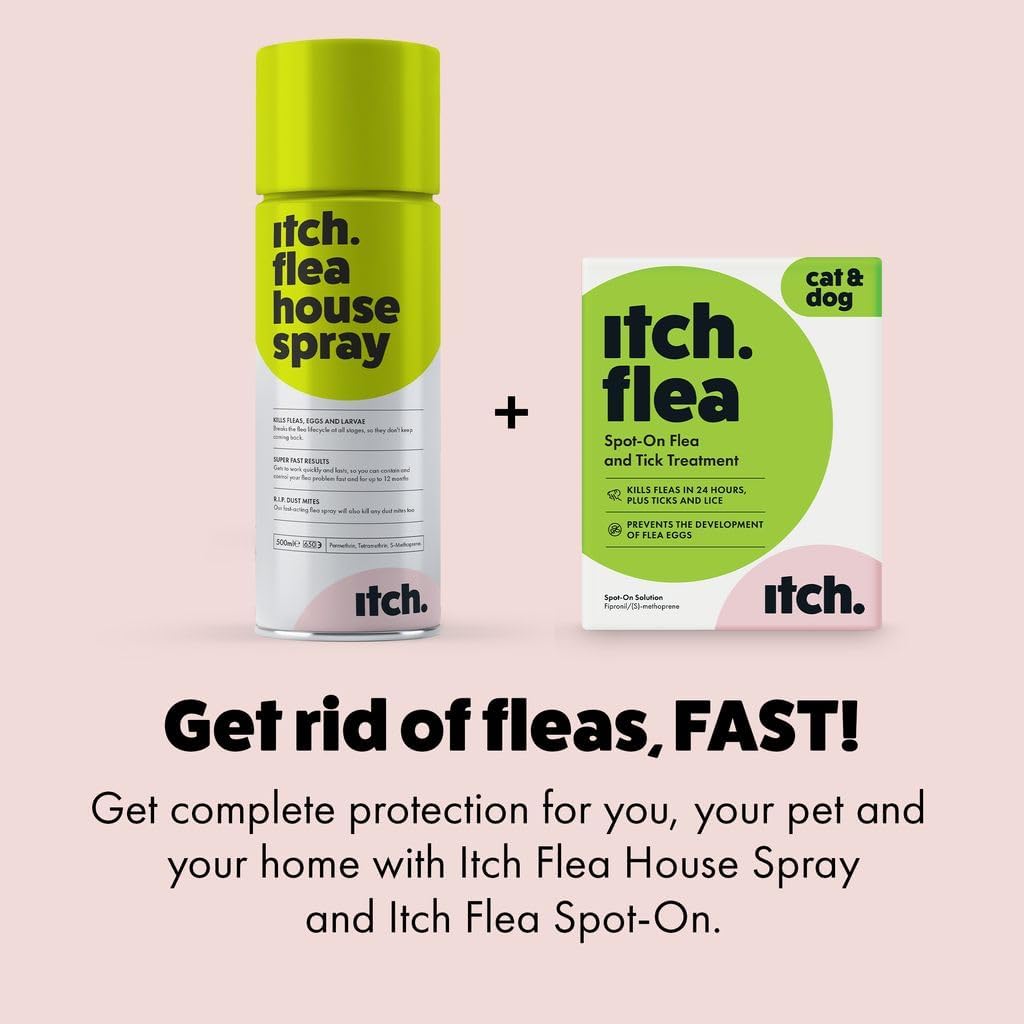 Itch - Flea & Tick Treatment for Cats & Household Flea Spray - Kills Fleas, Lice, Ticks, Eggs and Larvae - With Fipronil and S-Methoprene - Odourless 500ml Spray & Pack of 3 Pipettes