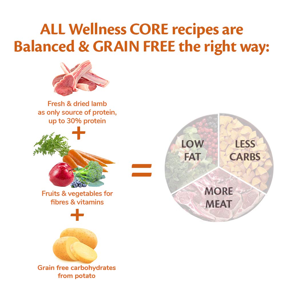 Wellness CORE Active Life 10 kg, Chicken & Turkey – Dry Dog Food