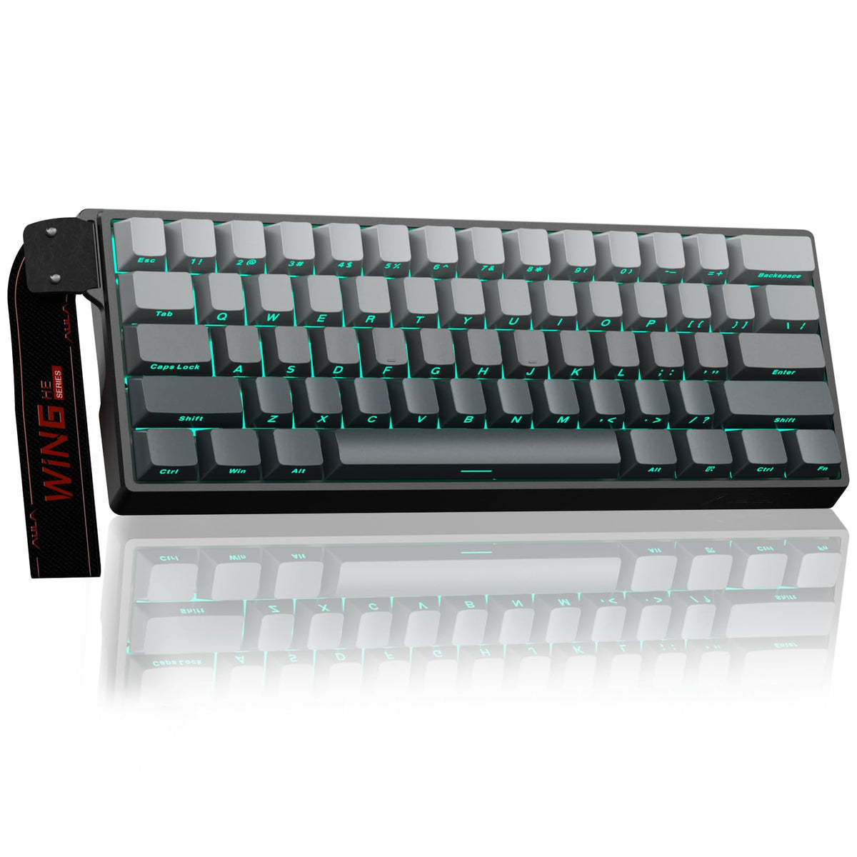 AULA WIN60 HE Mechanical Gaming Keyboard Wired,Hall Effect Magnetic Switches,Adjustable Actuation Rapid Trigger,8K Polling Rate,RGB Backlight,60% Percent Keyboard for Mac/Win (BLACK) (Pack of 2)