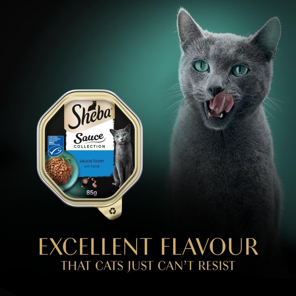 SHEBA Sauce Lover Cat Food Trays Mixed Collection 32 x 85 g