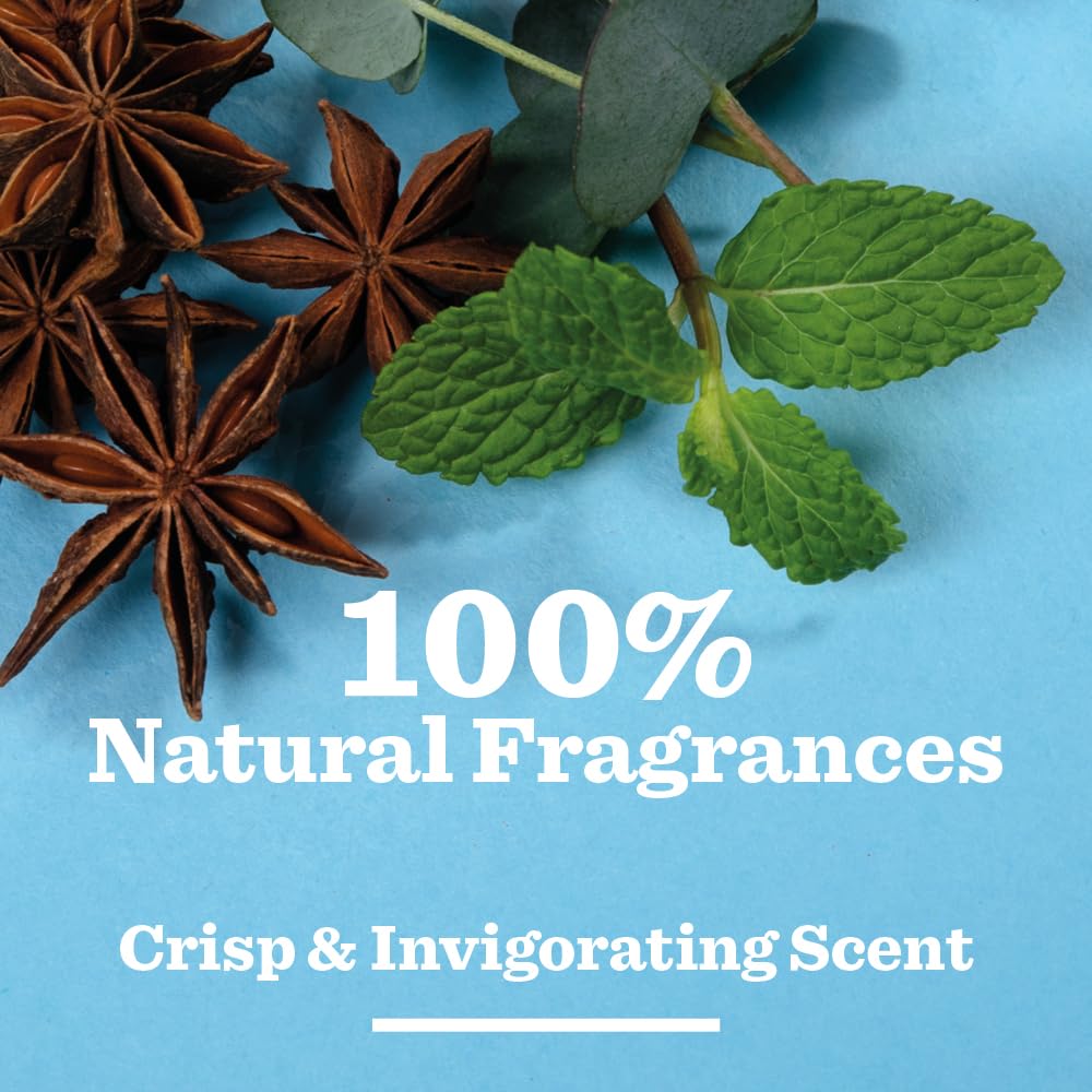 BULLDOG SKINCARE Lemon & Bergamot Shower Gel for Men, 500ml