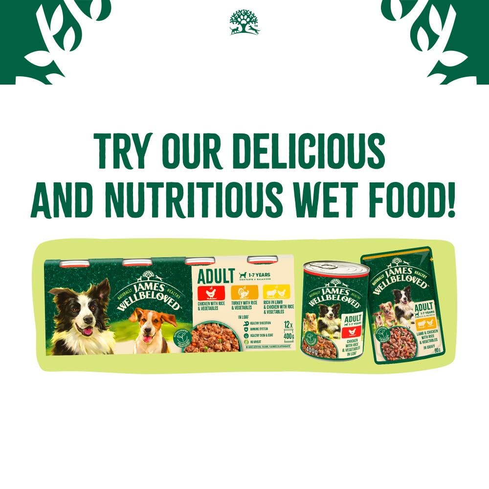 James Wellbeloved Dog Adult Hypoallergenic Dry Food Turkey and Rice 2 kg