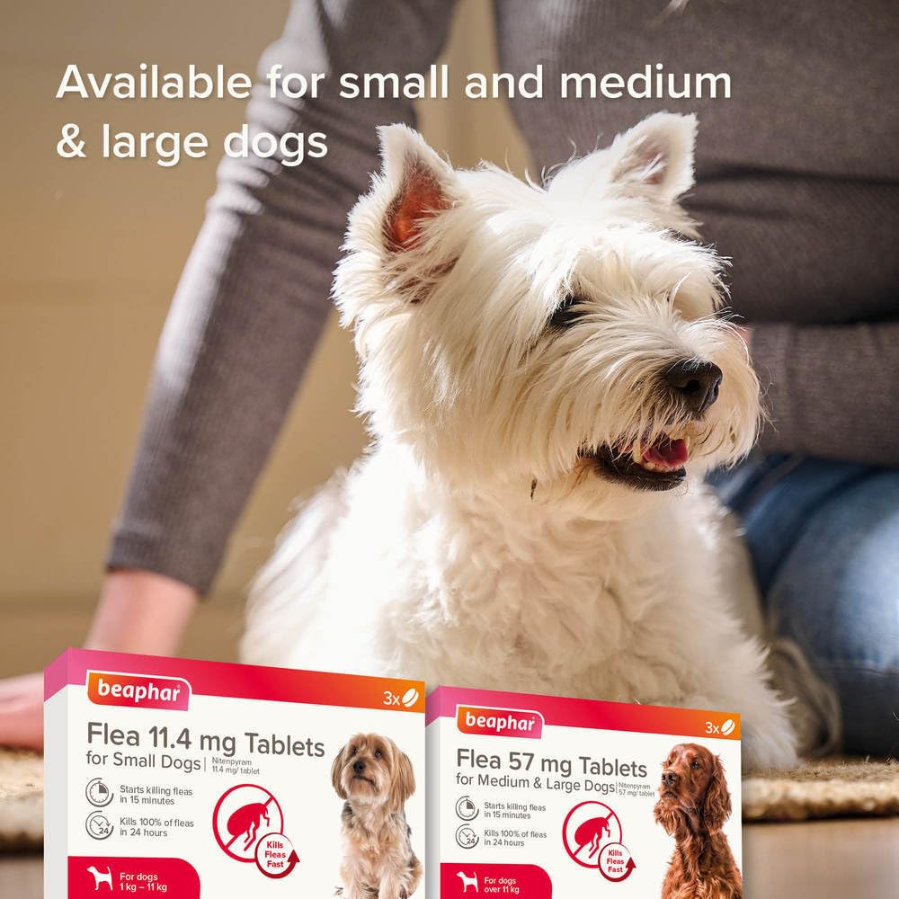 Beaphar - Flea Tablets for Medium/Large Dogs (>11kg) - 3 Treatment Pack - Rapid Knock Down of Fleas - Starts Killing Fleas In 15 Minutes, Kills 100% in 24hrs - Veterinary Medicine For Dogs > 4 Weeks