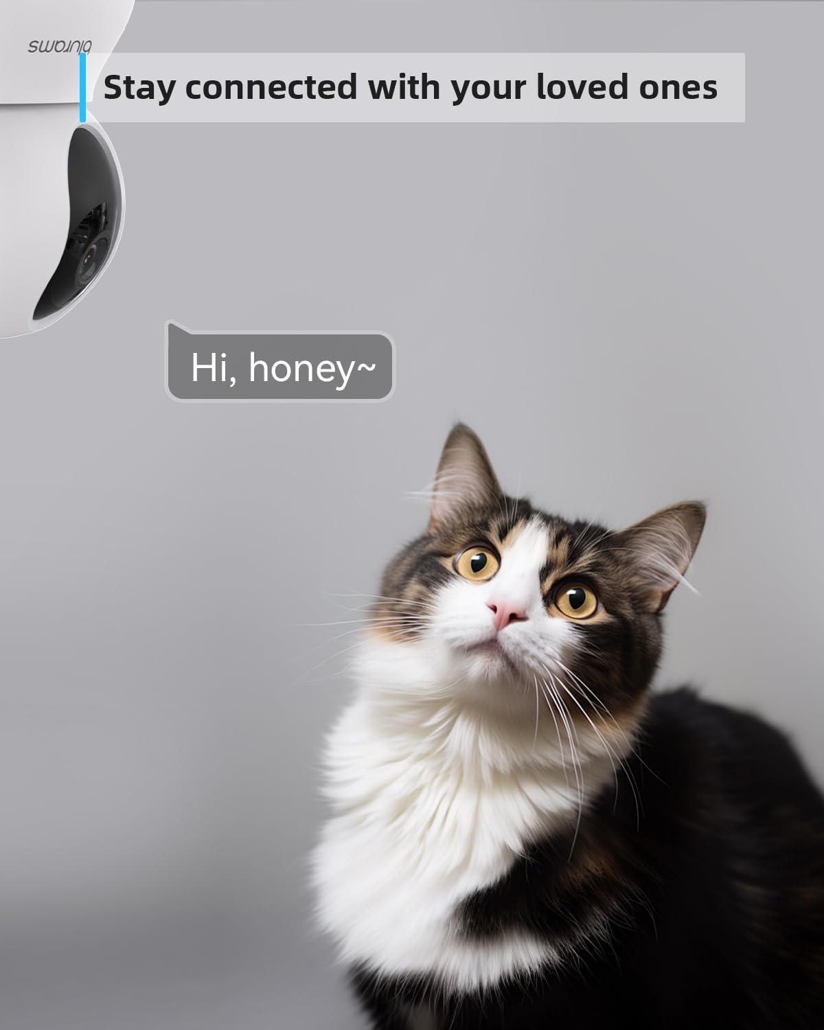 blurams Pet Camera 2K, Indoor Cameras, Dog Camera, 360° Home Security Cameras, Color Night Vision, Motion Tracking, 2-Way Talk, Cloud&SD, APP Control, Compatible with Alexa
