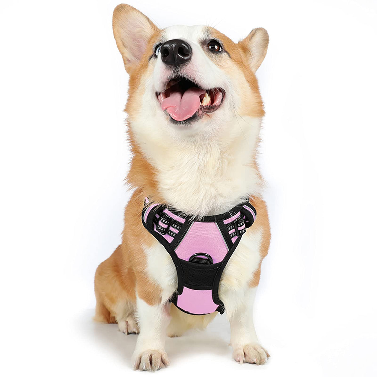 rabbitgoo Dog Harness Large Dog, No Pull Vest with Front Clip & Handle