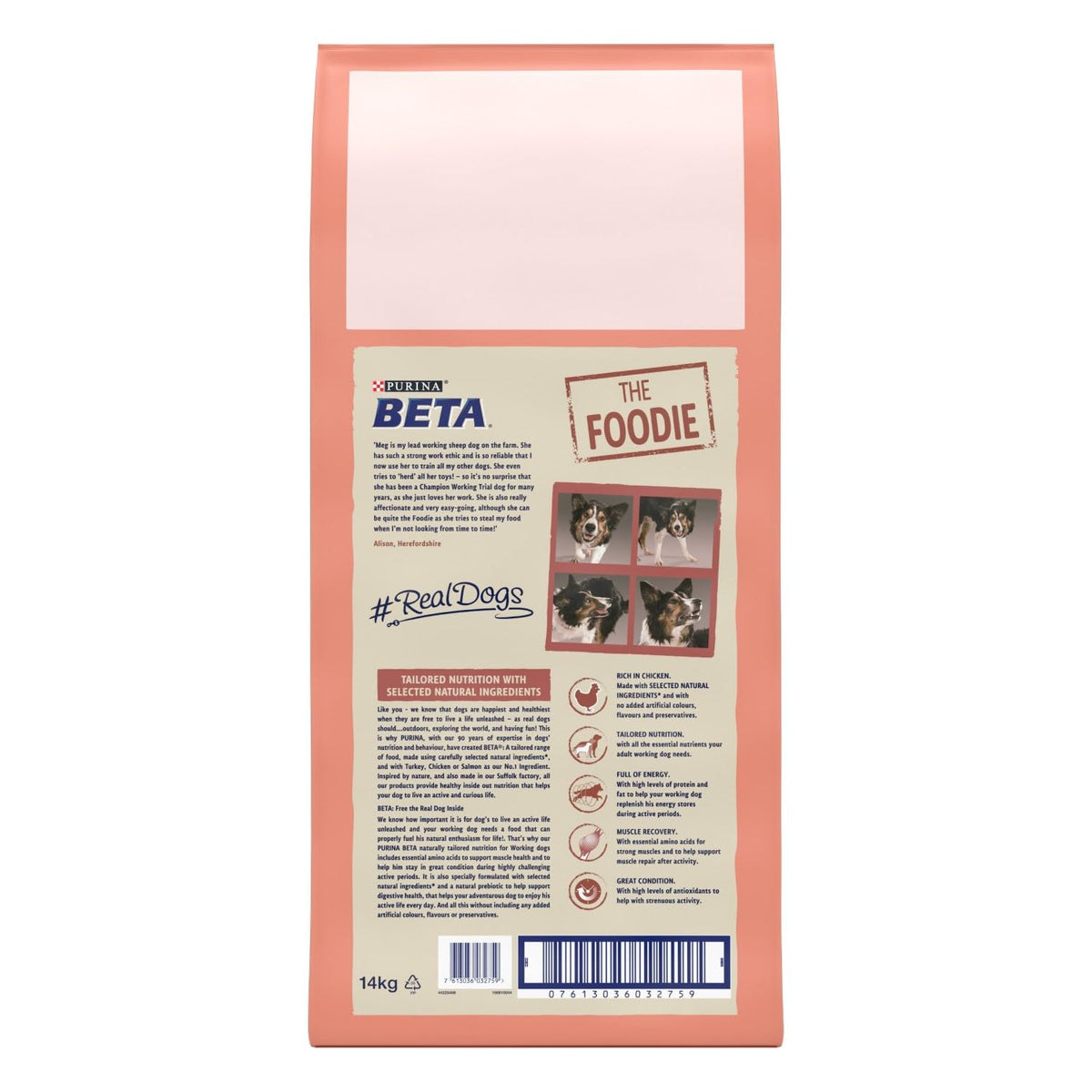 BETA Adult Sensitive Salmon Dry Dog Food 14kg