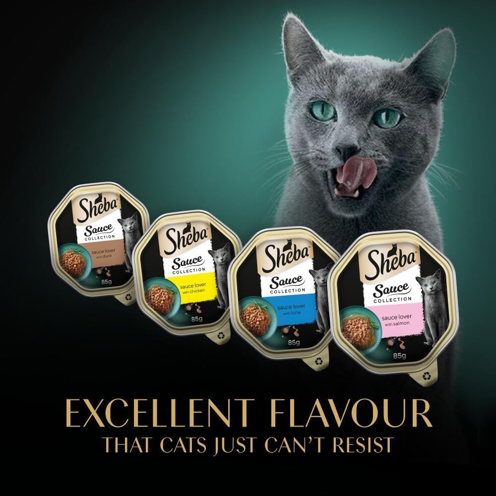 SHEBA Sauce Lover Cat Food Trays Mixed Collection 32 x 85 g