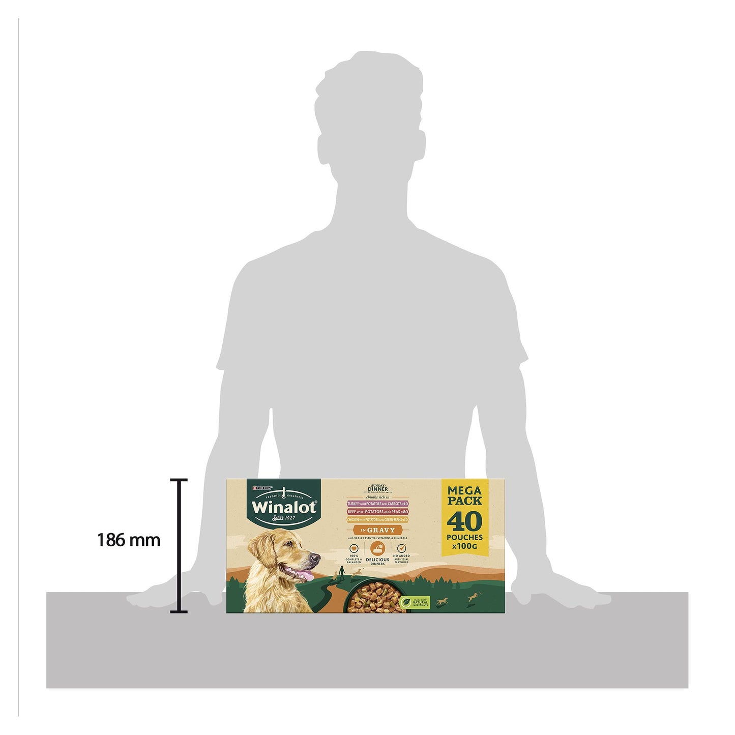 WINALOT Sunday Dinner Mixed in Gravy Wet Dog Food Pouches 40x100g