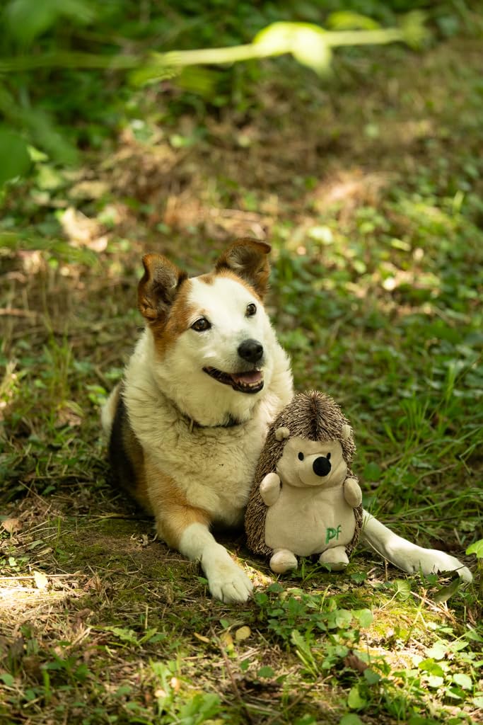 Petface Honking and Squeaky Duck Plush Dog Toy