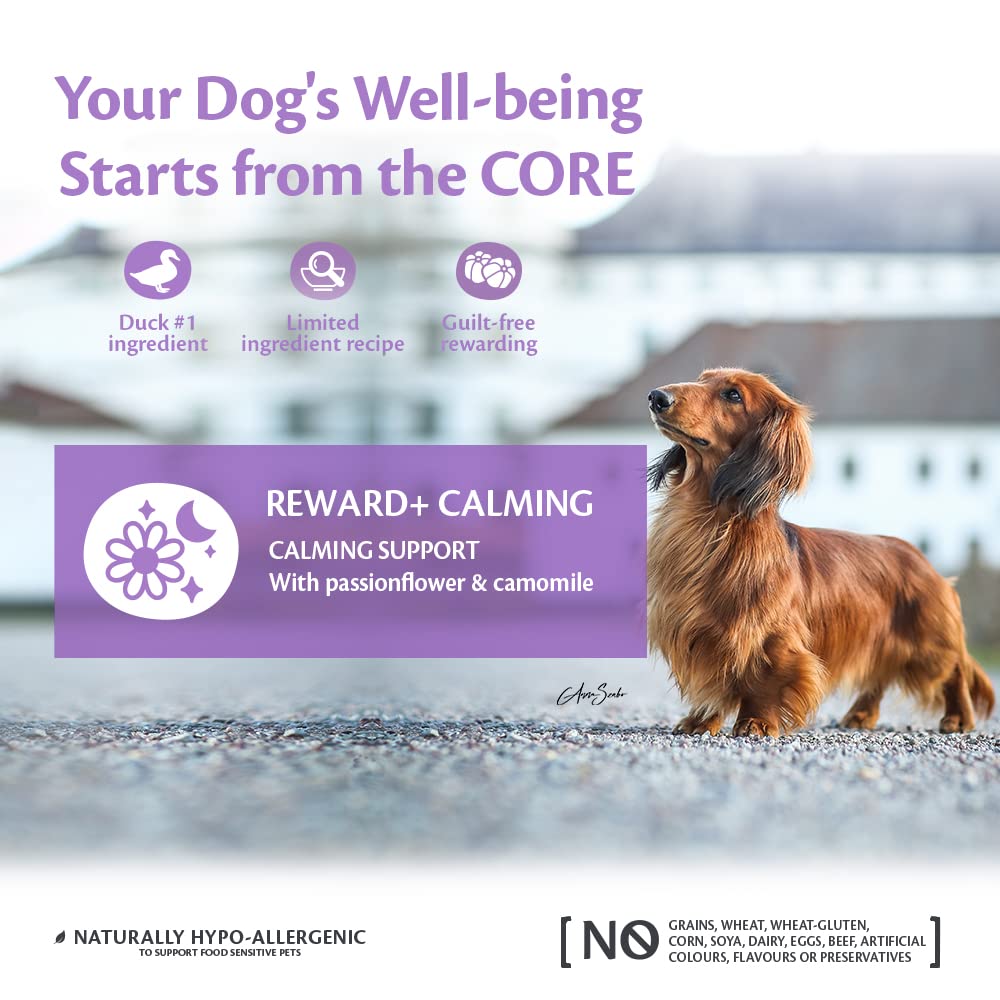 Wellness CORE Reward+ Mobility 170g, Turkey – Soft Dog Treats