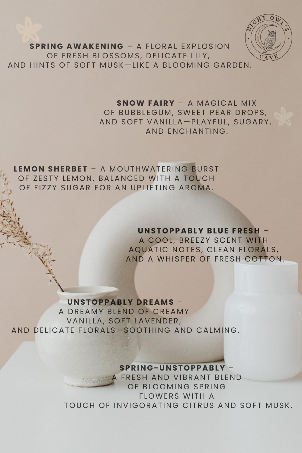 Handmade Scented Discs - Elevate Your Vacuum Game with Fresh, Long-Lasting Fragrances (Blackcherry, Snow Fairy, Clean Cotton) - 3 Packets of 2 Discs Each