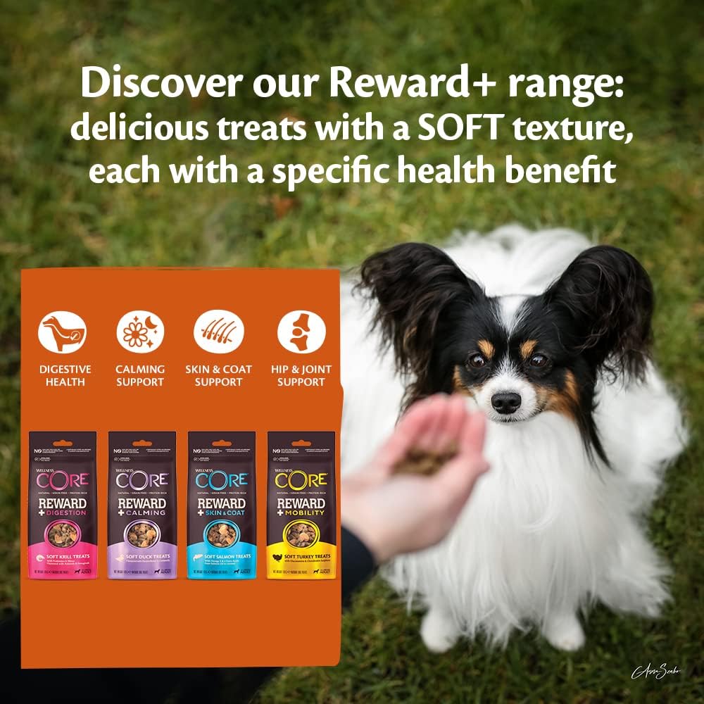 Wellness CORE Reward+ Mobility 170g, Turkey – Soft Dog Treats