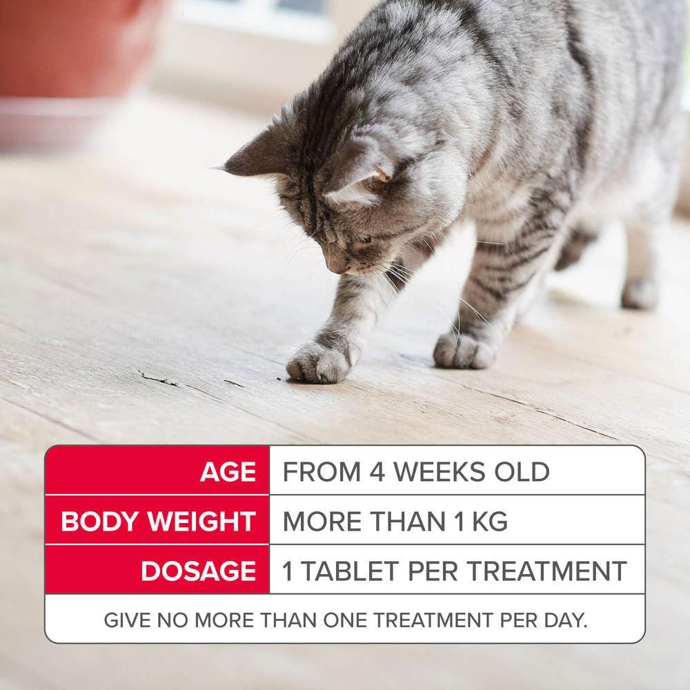 Beaphar - Flea Tablets for Cats & Kittens - 6 Treatment Pack - Rapid Knock Down of Fleas - Starts Killing Fleas in 15 Minutes, Kills 100% in 24hrs - Veterinary Medicine - For Cats from 4 Weeks Old