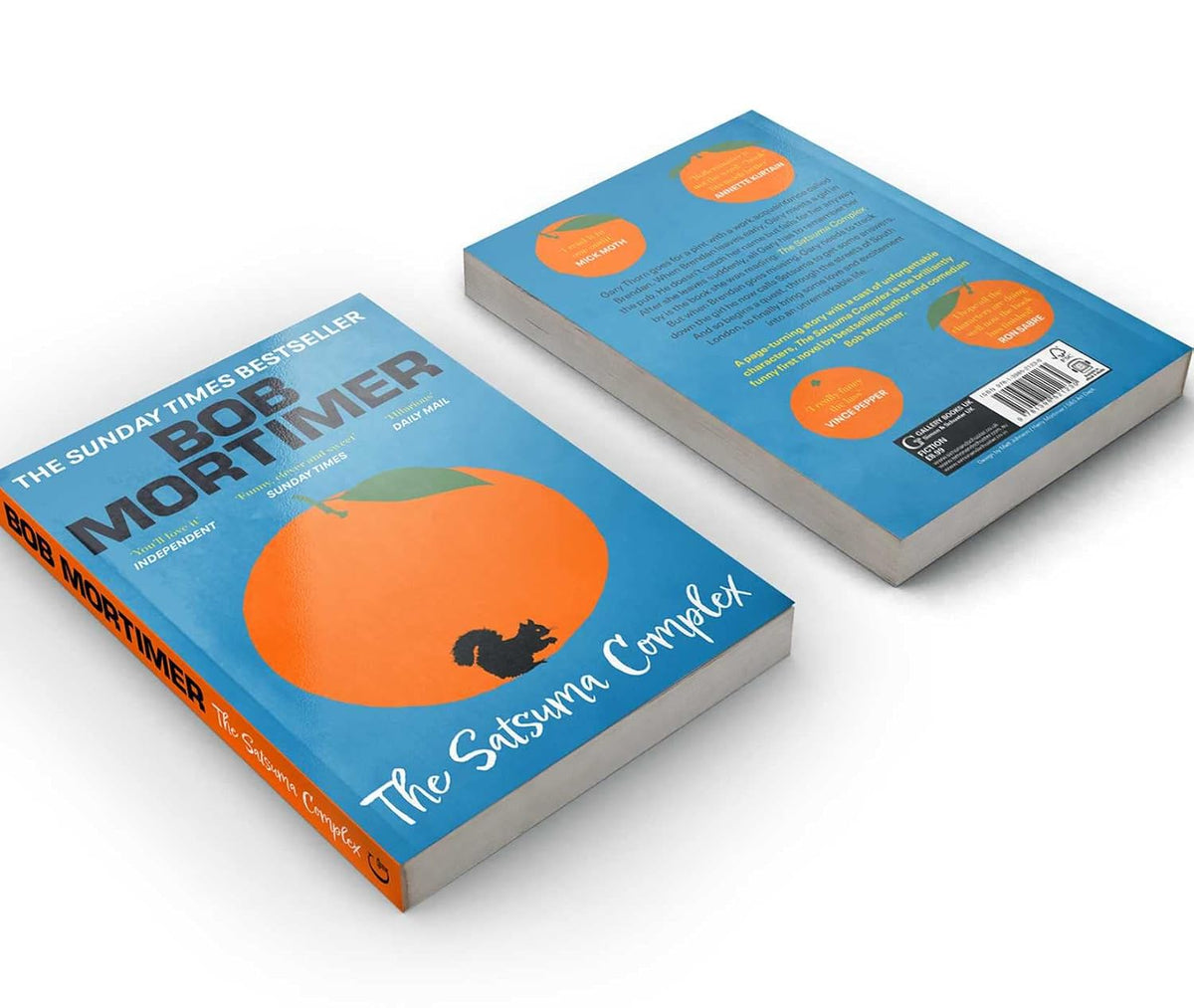 The Satsuma Complex: The million copy bestselling first novel – 'funny, clever and sweet' Sunday Times