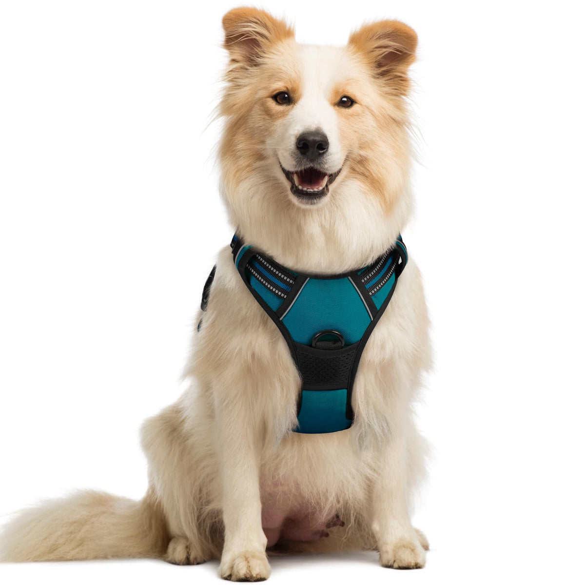 rabbitgoo Dog Harness Large Dog, No Pull Vest with Front Clip & Handle