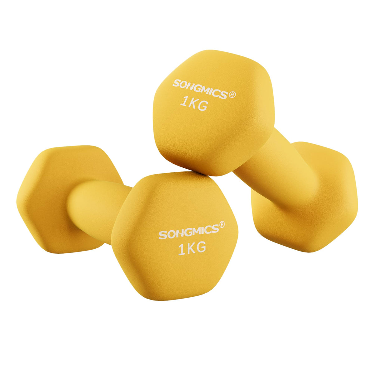 SONGMICS Set of 2 Hex Dumbbells with Neoprene Coating for Strength Training, Fitness, Home Workout