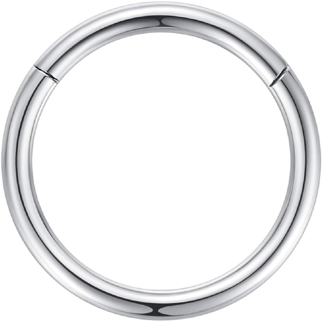 316L Surgical Steel Hinged Nose Rings Hoop Suptum Ring Body Piercing Lip Rings Helix Cartilage Rook Earrings 20G 18G 16G 14G 12G 10G 8G, Diameter 5mm to 16mm, Gold-Rose Gold-Silver-Black
