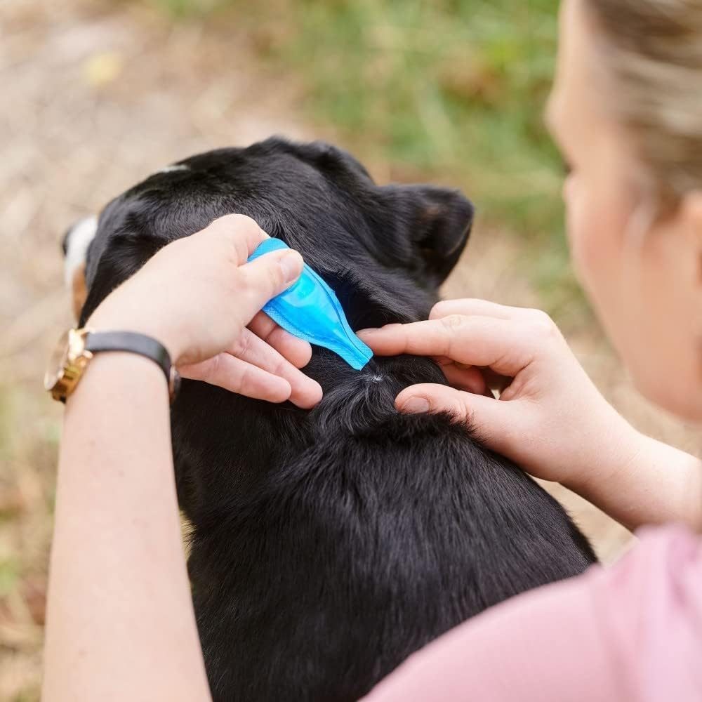 Beaphar - FIPROtec Spot-On Flea & Tick Treatment for Medium Dogs 10-20kg - 6 Pipettes - Kills Fleas & Ticks – Veterinary Medicine - Easy to Apply Monthly - Suitable for Dogs & Puppies from 8 Weeks